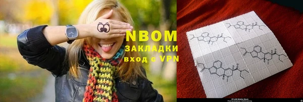 прущие грибы Нефтекумск