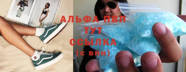гашик Новодвинск