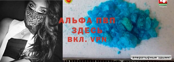 винт Новозыбков