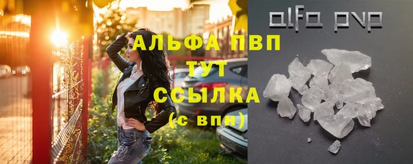 винт Новозыбков